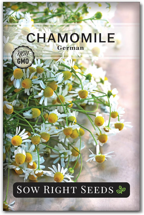Sow Right Seeds - German Chamomile Seeds for Planting - Non-GMO Heirloom