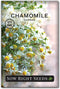 Sow Right Seeds - German Chamomile Seeds for Planting - Non-GMO Heirloom