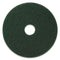 Americo Green Scrub Floor Pad, 17" Diameter, 3.25" Center Hole, 5 Pads/Case,