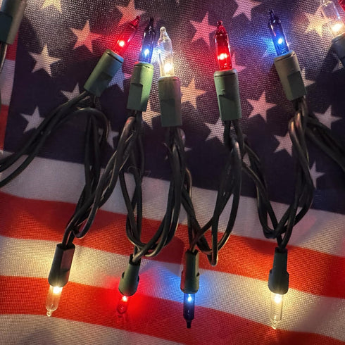 4th 100 Count (21feet) HISHINY Red White Blue of July Patriotic Decorations Lights Mini String Lights with Green Wire