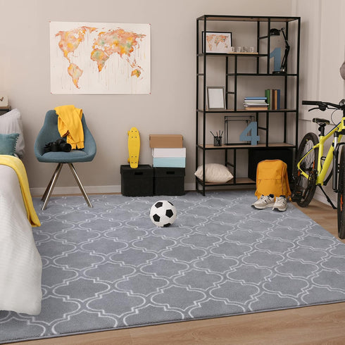 5x7 Chicrug Shag Geometric Modern Area Rug for Bedroom, Feet Memory Foam Indoor Carpet, Fluffy Rug for Living Room