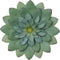 Everydecor Metal Flowers Wall Decor, Hand Painted Green 3D Succulent Art for Living Room, Bedroom, Kitchen, Bathroom -