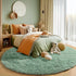 5Ft Sage Green Round Rugs for Boys Bedroom,Shaggy Circle Rug for Kids Room,Fluffy Carpet for Classroom Shag Circular