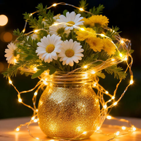 1Pack Lights,16ft 50 8 USB Plug in Fairy String LED Copper with Remote and Timer, Modes Waterproof Twinkle String