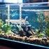 Stainless Steel Hanging Turtle Basking Platform, 12" x 16" Turtle Ramps, Turtle Tank Accessories