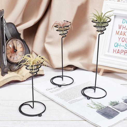 6 Packs 3 AHANDMAKER Airplant Planter Holder, Sizes Air Plant Container Tillandsia Holder for Displaying Small Air