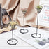 6 Packs 3 AHANDMAKER Airplant Planter Holder, Sizes Air Plant Container Tillandsia Holder for Displaying Small Air