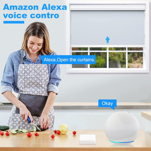 Smart Zigbee Hub for JaeJaes Motorized Shades, Works for Blackout Smart Windows Blinds, Compatible with Alexa