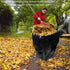 Niurui 45 25 40 Trash Bag Holder Stand Gallon Outdoor Leaf Bag Stand with Pcs Gallon Trash Bags Metal Garbage Bag Frame