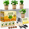 HOME GROWN Herb Garden Planter Indoor Kit Unique Christmas Gift for Adults,