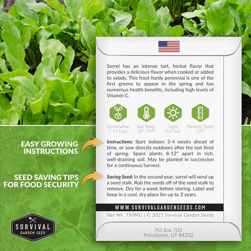 (5 Packs) Sorrel Seeds for Planting - Large Leaf Garden Sorrel - Cool Weather Perennial Vegetable for Edible Leafy