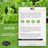 (5 Packs) Sorrel Seeds for Planting - Large Leaf Garden Sorrel - Cool Weather Perennial Vegetable for Edible Leafy