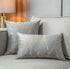 YONGLIU Pack of 2 Velvet Cushion Cases, Decorative Gold Foil Geometric Pattern Throw Pillow Covers (Gray and Gold)