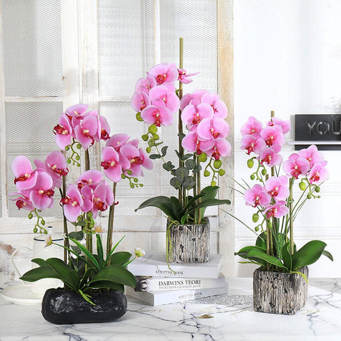 FagusHome 6 PCS Green Artificial Phalaenopsis Orchids Leaves, Faux Orchids Leaf 11 Inches