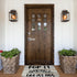 Welcome Mats for Front Door, Pop It Like Its Hot Camping Doormat, Non-Slip Indoor Mats, 16x24 Inch