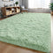Fluffy Fuzzy Sage-Green Rugs for Bedroom - 4x6 Feet Soft Non Slip Plush Area Rug for Living Room and Kids Room