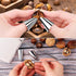 2 1 304 2 2 Upgraded In Chestnut Cutter Tool and Nut Cracker for All Nuts Stainless Steel Walnut Cracker Chestnut