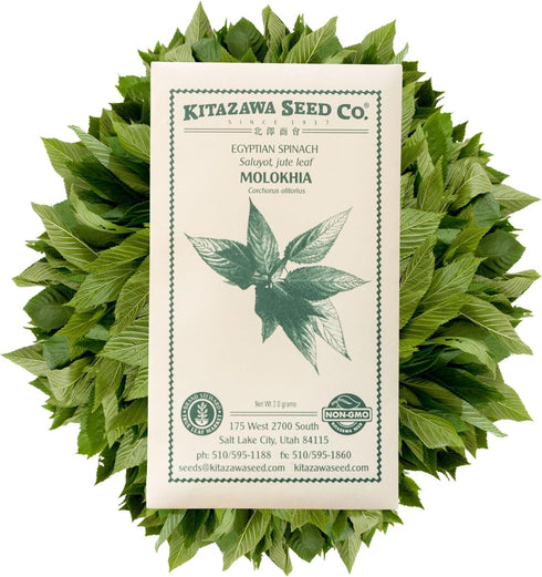 2 Packet ~1,000 Kitazawa Seed Company Egyptian Spinach Seeds - Molokhia, Jew's Mallow, Jute Mallow, Corchorus olitorius