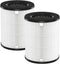 AP-T20 Replacement HEPA Filter for Homedics AP-T20 and AP-T20WT Purifier, 3-in-1 True HEPA Filter, Pack of 2