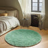 4ft, ONASAR Sage Green Round Area Rug Fluffy Soft Bedroom Circle Rugs for Kids Girls Boys Teen Dorm Room, Cute Furry