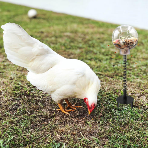 Oooct 2 Pack Chicken Pecking Toys with Swing Feeder, Coop Slow Feeder Toy for Chickens, Chicks, Ducks, Hens, Parrots