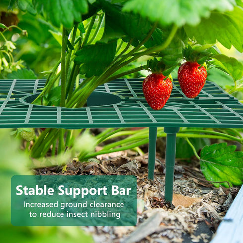 10 Pack GOONMILL Strawberry Plant Support, Strawberry Planting Stand, Keeping Strawberry Plants Clean, Strawberry