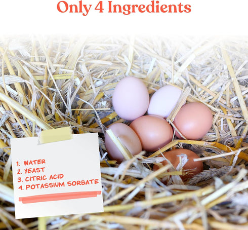 16 oz Manna Pro Egg Cleanser, Natural Enzyme Wash for Fresh Eggs, Safe & Gentle Cleaner for Backyard Chicken Eggs