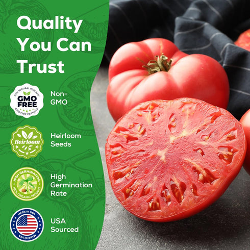 200 Packet Beefsteak Tomato Seeds for Planting - Non-GMO, Heirloom - Indeterminate Tomato Seeds, Vegetable Seed