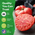 200 Packet Beefsteak Tomato Seeds for Planting - Non-GMO, Heirloom - Indeterminate Tomato Seeds, Vegetable Seed