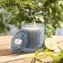 LA JOLIE MUSE Lemon Candle, Citrus Mint Scented Candles for Home, Natural Soy Blue Candle, 6 Oz with 40 Hour Burn