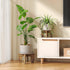12 (2 pack)) Plant Stands Indoor Outdoor, Plant Risers for Inside Pots Sturdy Short Plants Holder, Flower Pot Stand