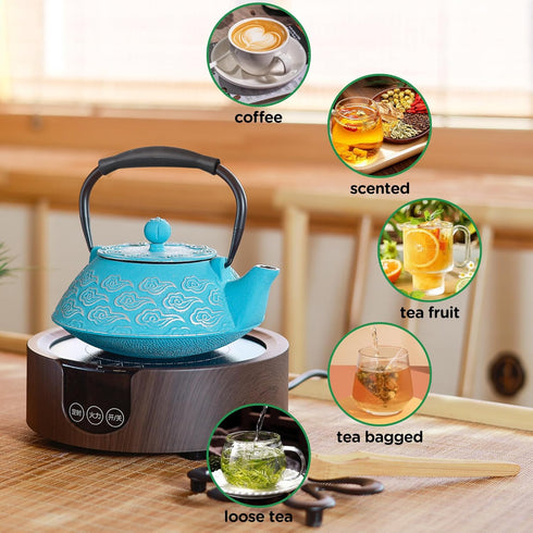 27oz, 800ml Cast Iron Teapot, Japanese Tea Pot with Infuser for Loose Leaf, Tea Kettle Stovetop Safe Coated