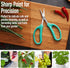 Beaditive Culinary Herb Scissors - Compact 6.5-Inch Stainless Steel Kitchen Scissors for Snipping Fresh Herbs