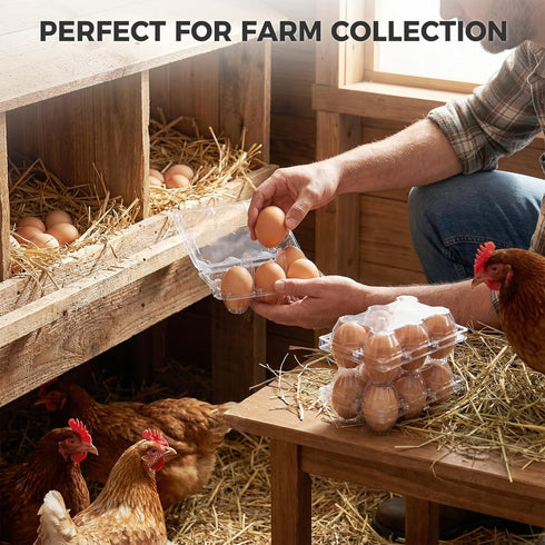 60 6 Count 60PCS HANSGO PCS Plastic Egg Cartons Bulk, with Date Labels, Clear Stackable Egg Holder for Fresh Medium