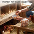 60 6 Count 60PCS HANSGO PCS Plastic Egg Cartons Bulk, with Date Labels, Clear Stackable Egg Holder for Fresh Medium