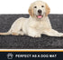 PURRUGS Non-Slip Dirt Trapper Door Mat 20" x 31.5", Machine Washable Entry Rug, Light Grey-Dark Grey