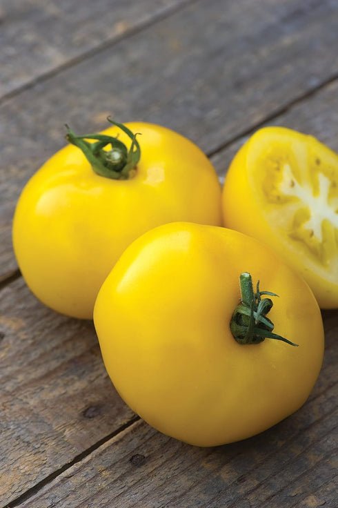 30 Burpee 'Sunny Boy' Hybrid, Yellow Beefsteak Slicing Tomato, Non-GMO Seeds