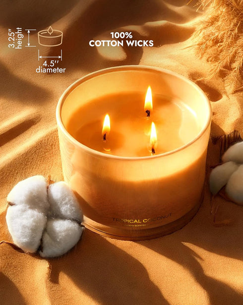 96NORTH Luxury Coconut Soy Candle | Large 3 Wick Jar Candle | Up to 50 Hours Burn Time | Tropical Beach Scent