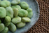 Hometown Seeds Broad Windsor Pole Fava Bean Seeds - Non-GMO