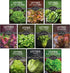 Lettuce Seeds for Planting | 10 Heirloom Lettuces Buttercrunch, Romaine, Iceberg, Oakleaf,