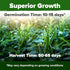 202+ HOME GROWN Clemson Spineless Okra Seeds Heirloom Non-GMO Seeds for Planting, High Germination, Prolific Heat