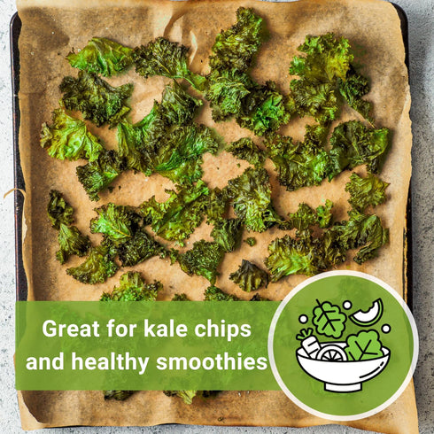 Packet (3) Sow Right Seeds - Dwarf Siberian Improved Kale Seed for Planting - Non-GMO Heirloom with Instructions