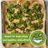 Packet (3) Sow Right Seeds - Dwarf Siberian Improved Kale Seed for Planting - Non-GMO Heirloom with Instructions