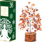 Carnelian Healing Crystal Tree Bonsai, Spiritual Gift for Women, Desk Decor, Meditation Crystals for Home Room