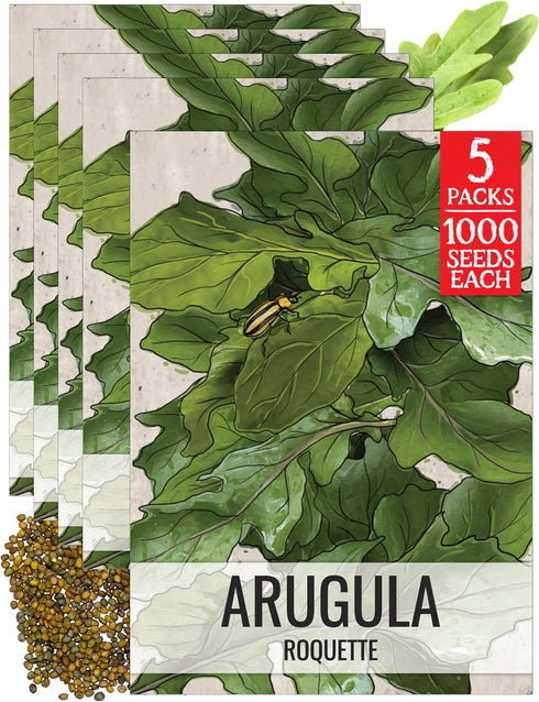Seed Needs Arugula Seeds for Planting Roquette/Rocket - Non-GMO Heirloom & Untreated