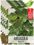 Seed Needs Arugula Seeds for Planting Roquette/Rocket - Non-GMO Heirloom & Untreated