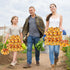12 7 Egg Collecting Apron and Basket, Pouches Chicken Egg Apron, Pouches Chicken Eggs Basket, Collector Chicken Eggs