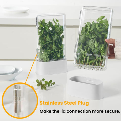 Vacane Herb Keeper for Refrigerator, Fresh Herb Saver Containers for Cilantro and Asparagus, Dishwasher Safe