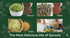 (1/4 Todd's Seeds Sprouting Seed Mix; Broccoli, Radish, Alfalfa, Non-GMO, Chemical Free, High Germination Pound)