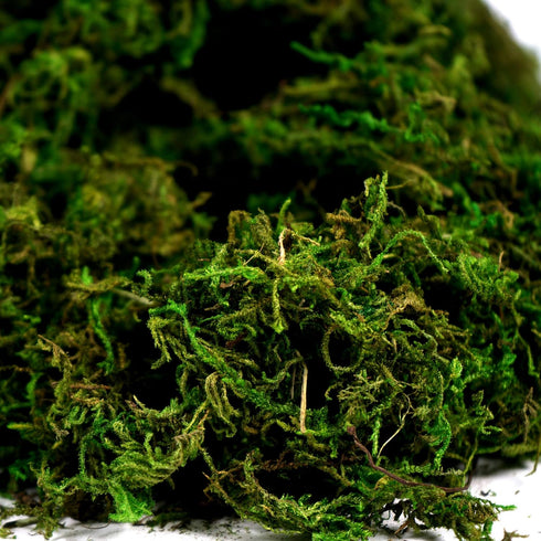 BYHER Artificial Moss, Fake Green Grass for Centerpieces, Home Kitchen Garden Decor (8OZ, Fresh)